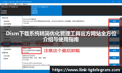 Dism下载系统精简优化管理工具官方网站全方位介绍与使用指南
